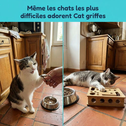 Jeu lime griffe