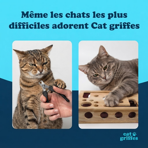 Ongle chat